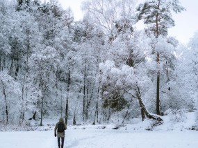 今年首场冷流雪来袭